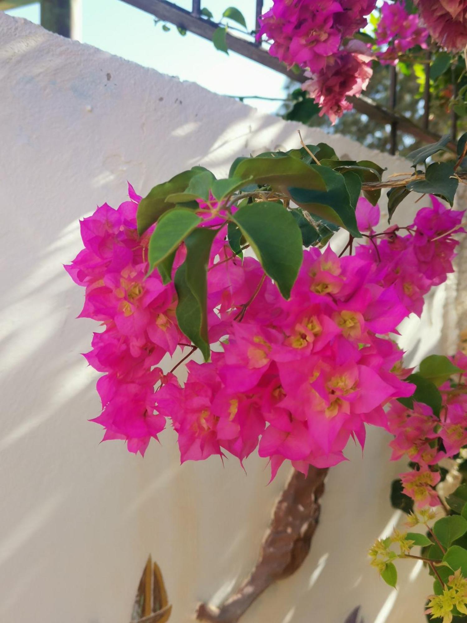 Eden Guesthouse Sardina Zewnętrze zdjęcie
