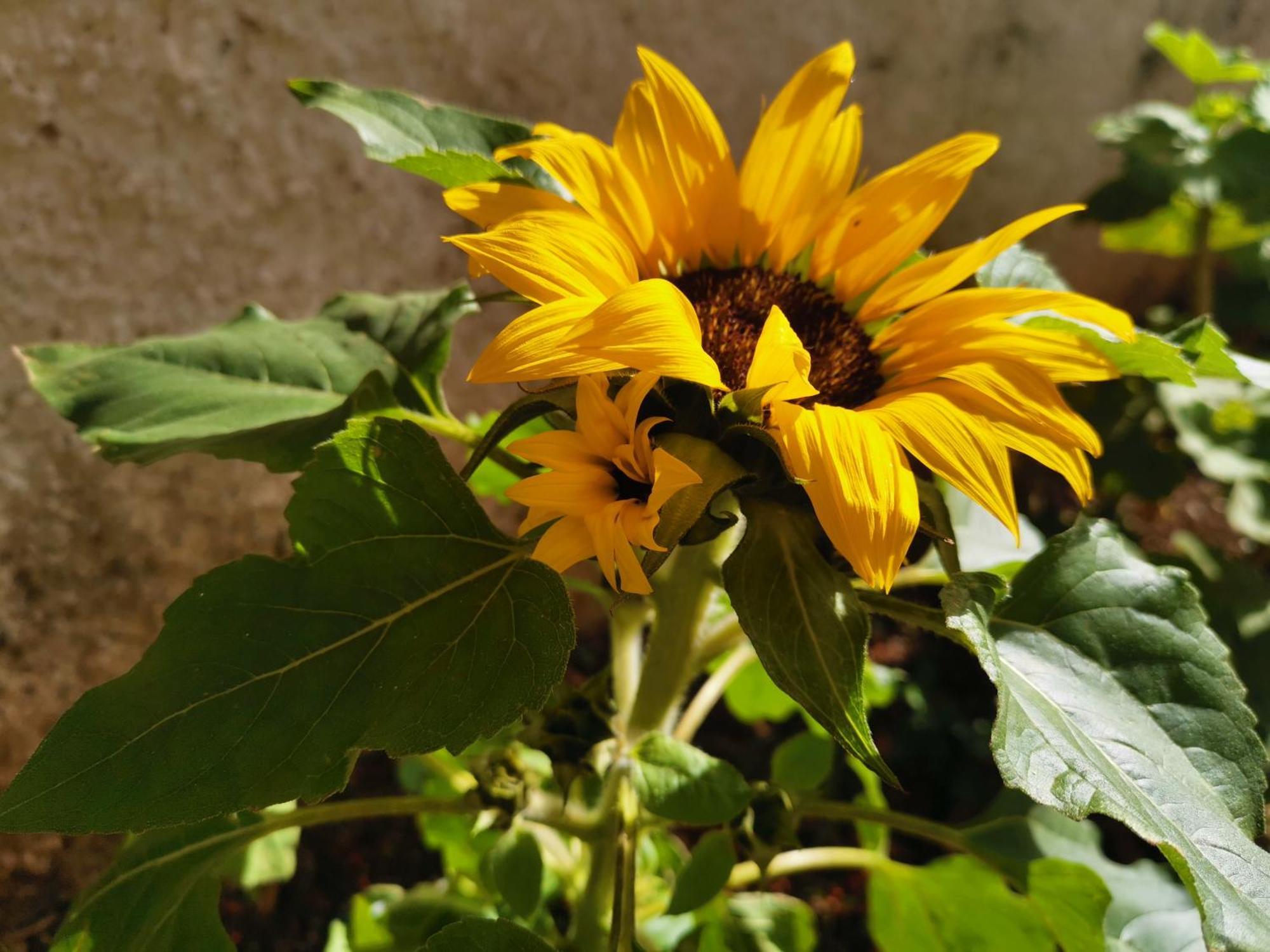 Eden Guesthouse Sardina Zewnętrze zdjęcie
