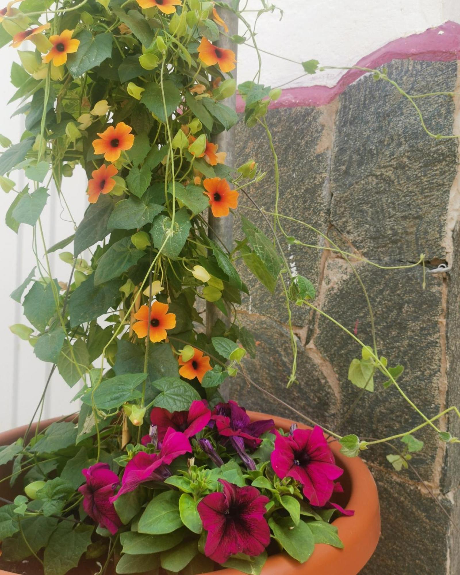 Eden Guesthouse Sardina Zewnętrze zdjęcie